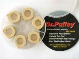 Dr.Pulley Gleitrolle SR2115/6-18